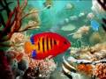 Aquarium - Charles Camille Saint-Saëns ...