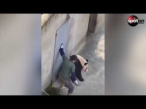 Shocking pictures: Panda attacks keeper