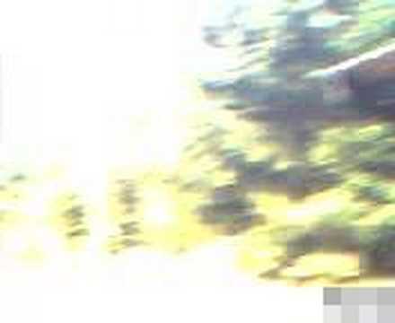 Stempelstelle 153 Schadenbeeksköpfe - Harzer Wandernadel