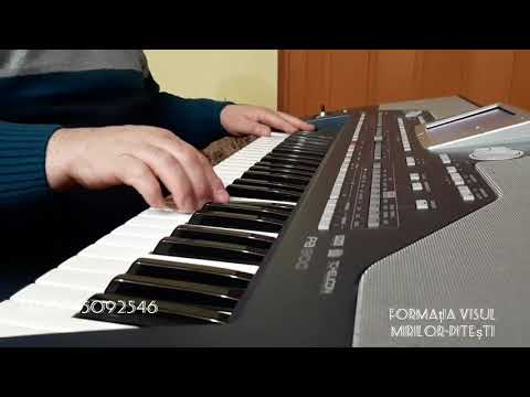 Formația Visul Mirilor Pitești -instrumental orgă