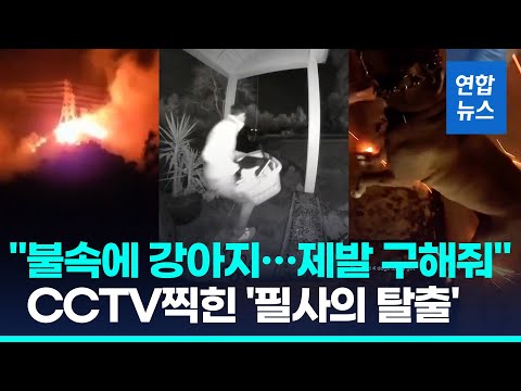 LA 산불 8일째 최대고비 맞아…"시속 113㎞ 강풍에 극도로 위험" | 연합뉴스