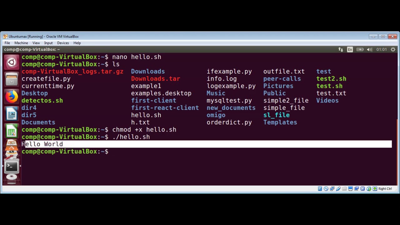 Hello World bash script in Linux