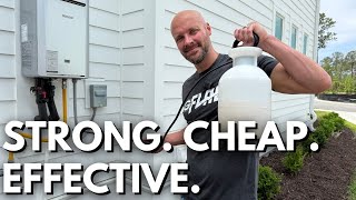 Cheap & Easy DIY Pest Control That Works!