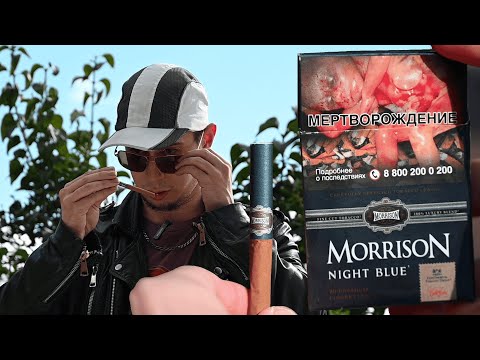 Обзор сигарет Morrison Night Blue / Новинка!