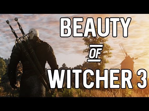The Beauty of The Witcher 3
