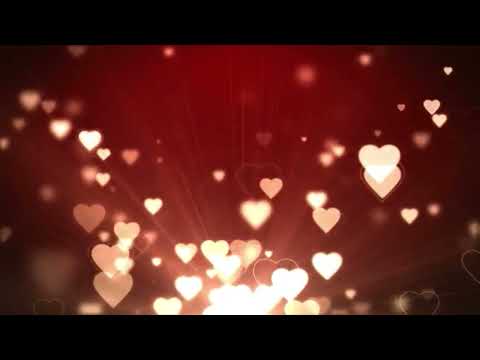 honza cibrik chvala 2022