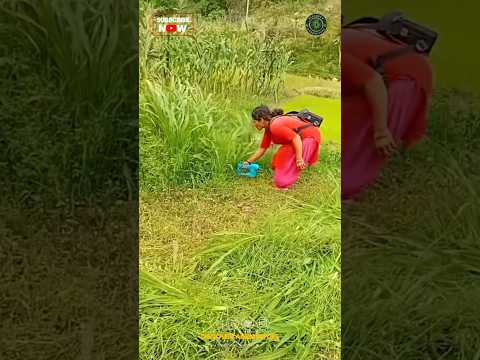 Best Grass Harvesting Machine