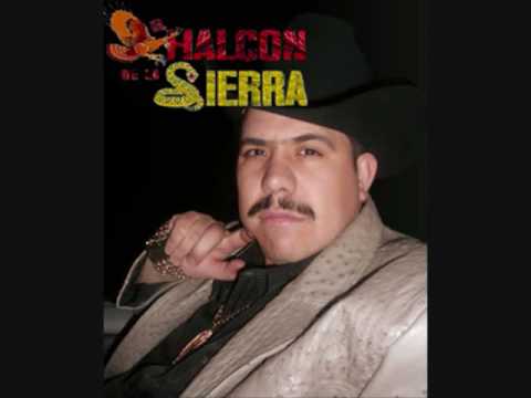 El Halcon De La Sierra - Pajarillo