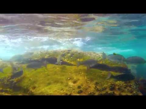 'Don't take it away' Electric Zeus remix - snippet