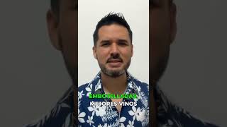 Easy Plus ya no existe: esto es lo que ofrecía MSC Cruceros