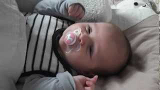 Schlaflied Hier in meinem Arm aus Barbie als Prinzessin der Tierinsel