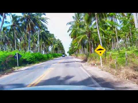 De Coruripe ate Feliz Deserto |Alagoas Brasil | visto em 4K