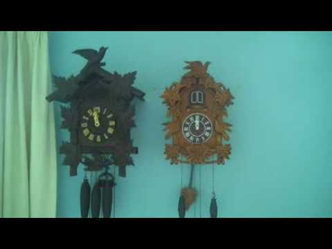 cuckoo clocks, 12:00 PM