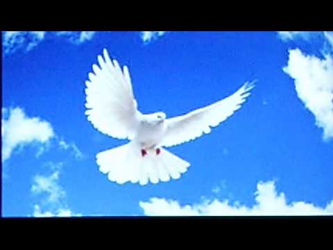 Alfred Newman and his Orchestra:  "Lovely To Look At"  (1946)