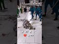 Cleaning Video Masjid Al Haram Allah Ky Ghar Ki Safai Most Beautiful Video