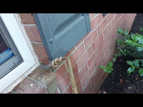 Ants Using a Gap in the Window to Infest Home in Monmouth Junction, NJ