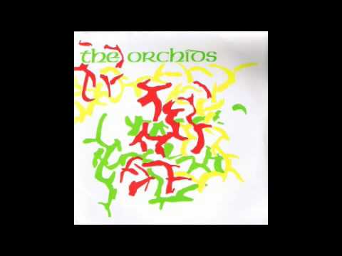 The Orchids - Apologies