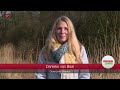 Wie is Danieke van Baal?