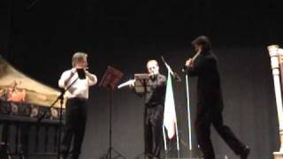 F.Kummer  Trio op.24  Scappini/Boschi/Alfano - 1° tempo