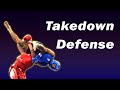 Takedown Defense In WUSHU SANDA MMA Tips And Tricks To Keep You On Your Feet