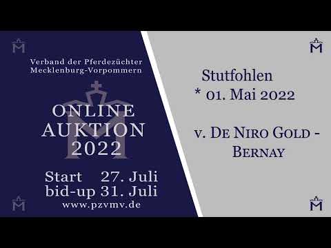 Nr. 18 Stute v. De Niro Gold/Bernay