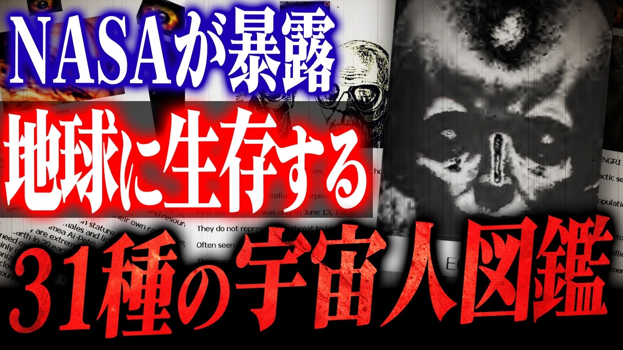 【実録】NASA報告書が認めた「31種の存在」日本だけが名指しされた理由