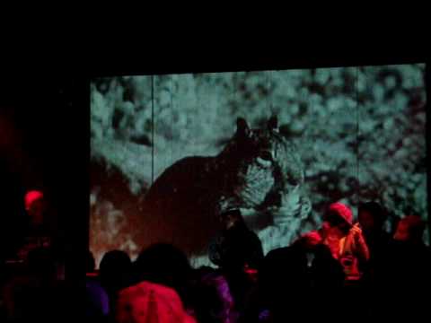 Mikey Murka w/ Disrupt @ Club Maria, Part 1 - "Venus / Tempo Riddim"