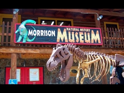 Explore the Morrison Museum