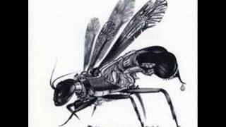 Orange 9mm - Tight Rope