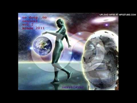 sdss_vol2_house_2011_sevenfever-part1.mp4