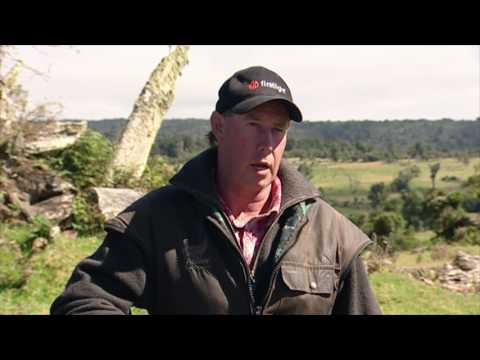 Rangiatea Station Run Off