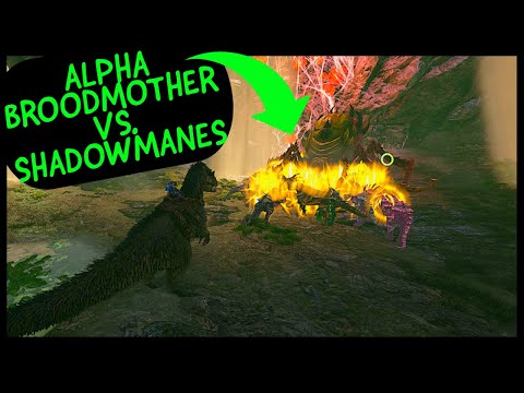 SHADOWMANE VS. ALPHA BROODMOTHER! EASY SOLO WIN STRAT