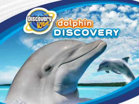 Dolphin Trainer Nintendo DS
