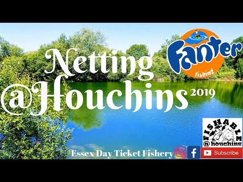Netting BIG Catfish and Carp from Fishable @ Houchins day ticket fishery Colchester Essex