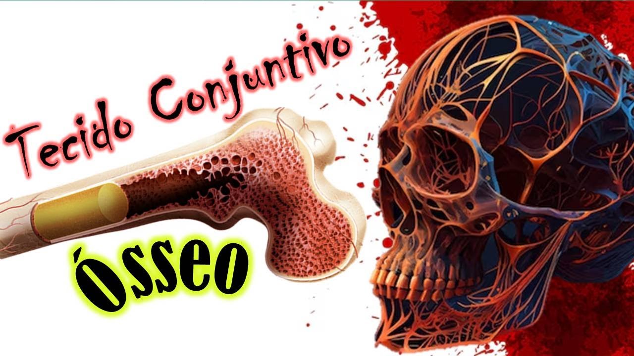 Tecido Ósseo