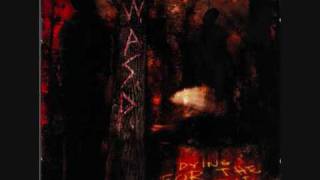 W.A.S.P. - Rubber Man