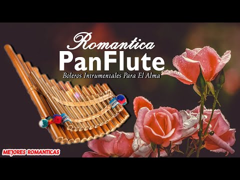 MINHA RÁDIO - ROMANTIC INSTRUMENTAL -  PAN FLUTE