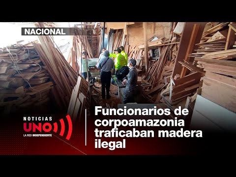 Corpoamazonia officials accused of illegal timber trafficking | Noticias UNO
