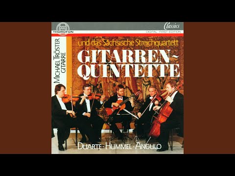 Gitarrenquintett, Nr. 1, op. 85: II. Threnody - Molto adagio, con dolore