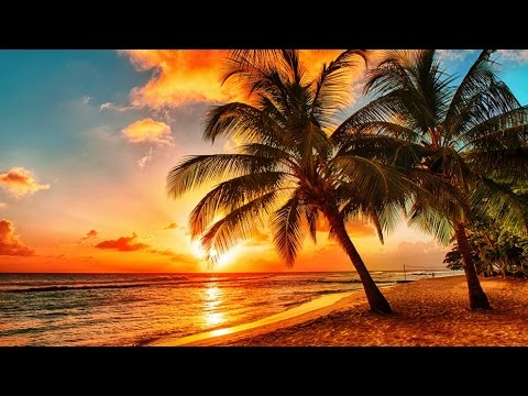 Ronny - Wenn der Tag zu Ende geht