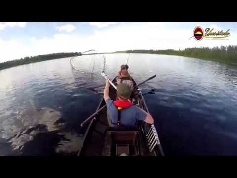 Tornionjoki,  Naamisuvanto, Pello 01.07.2015: salmon fishing in Tornio River in Lapland Finland