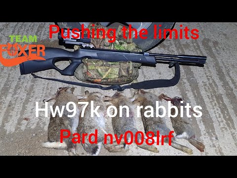 HW97K 177 rabbit shooting