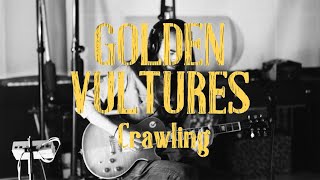 Golden Vultures video preview