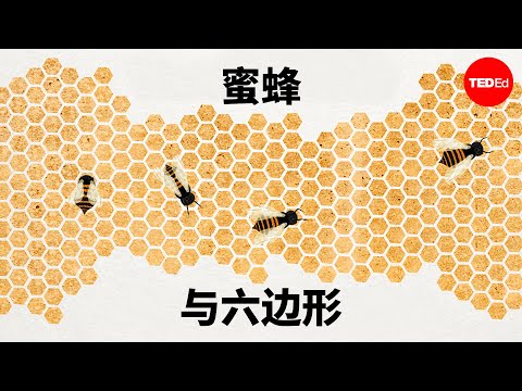 六角形意義