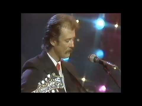 Freeborn Man -|- Rounder Records Allstars