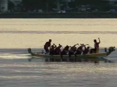 Seagods HD - Cebu Short black 500m Sat