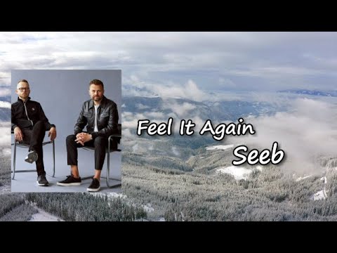 Seeb, Dan Caplen, Svidden - Feel It Again Lyrics