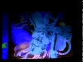 Traci Lords - Fallen Angel (promo video)