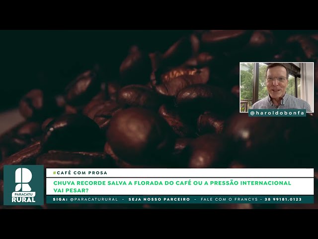 Café: Florada Salva ou Alerta Máximo?