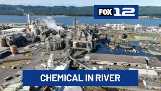 Download lagu Chemicals detected in Columbia River following Longview vat implosion mp3 Download lagu Chemicals detected in Columbia River following Longview vat implosion mp3